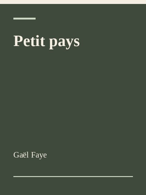 Petit pays, Gaël Faye