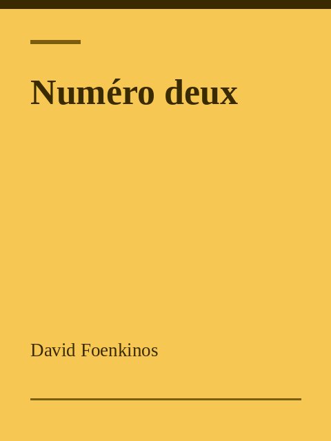 Numéro deux, David Foenkinos