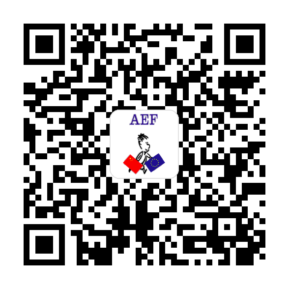 AEF WeChat Pay payment code
